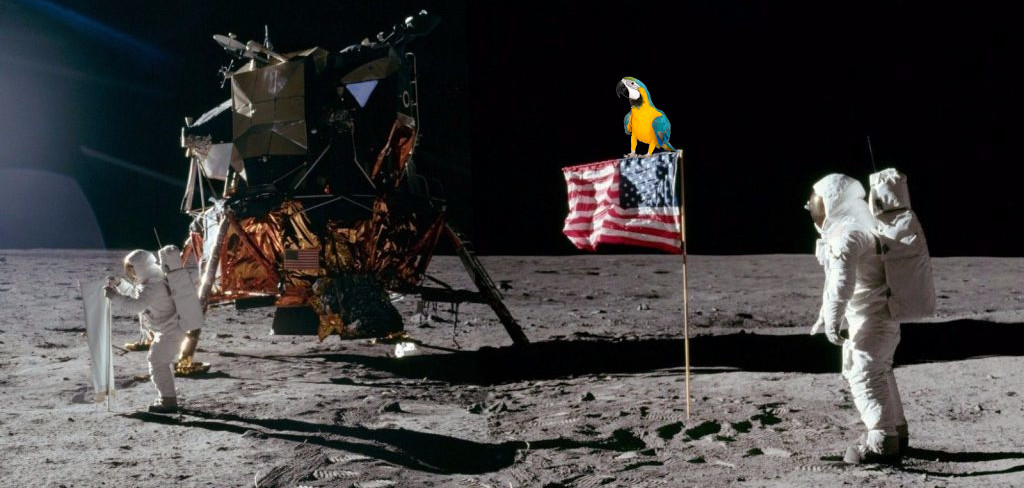 20.07.2019 MoonDay e spedizione per il pianeta VoIP